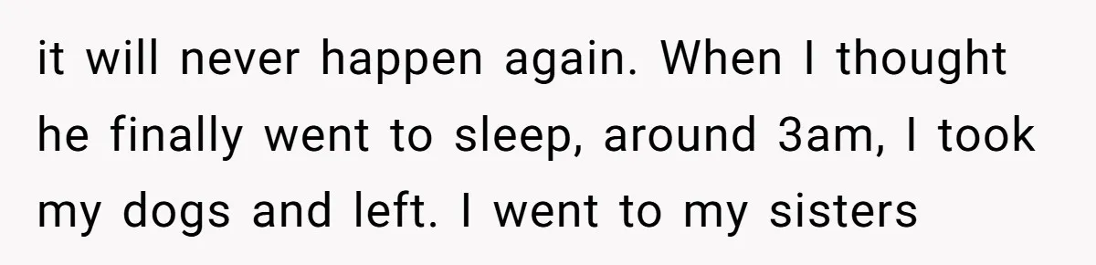 it will never happen again. When I thought he finally went to sleep, around 3am, I took my dogs and left. I went to my sisters