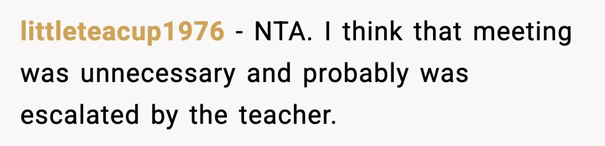 littleteacup1976 − NTA. I think that meeting was unnecessary and probably was escalated by the teacher.
