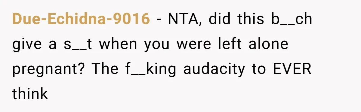 When A Redditor’s Courtroom Victory Turned Into A Spicy Showdown Due-Echidna-9016 − NTA, did this b__ch give a s__t when you were left alone pregnant? The f__king audacity to EVER think