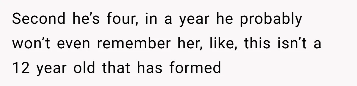 When A Redditor’s Courtroom Victory Turned Into A Spicy Showdown Second he’s four, in a year he probably won’t even remember her, like, this isn’t a 12 year old that has formed