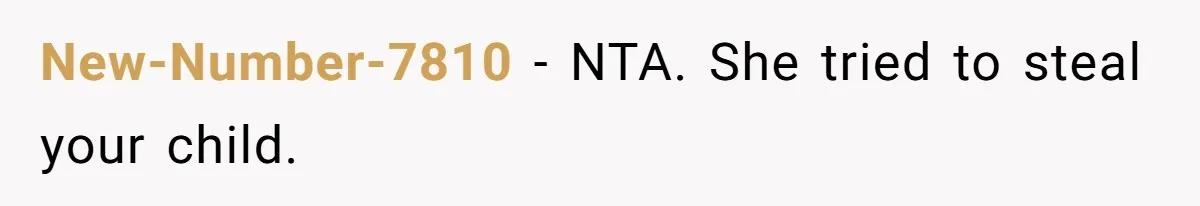 When A Redditor’s Courtroom Victory Turned Into A Spicy Showdown New-Number-7810 − NTA. She tried to steal your child.