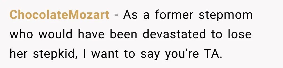 When A Redditor’s Courtroom Victory Turned Into A Spicy Showdown ChocolateMozart − As a former stepmom who would have been devastated to lose her stepkid, I want to say you're TA.