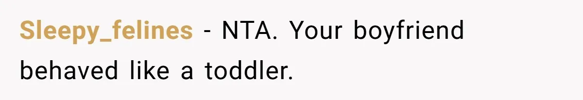 Sleepy_felines − NTA. Your boyfriend behaved like a toddler.