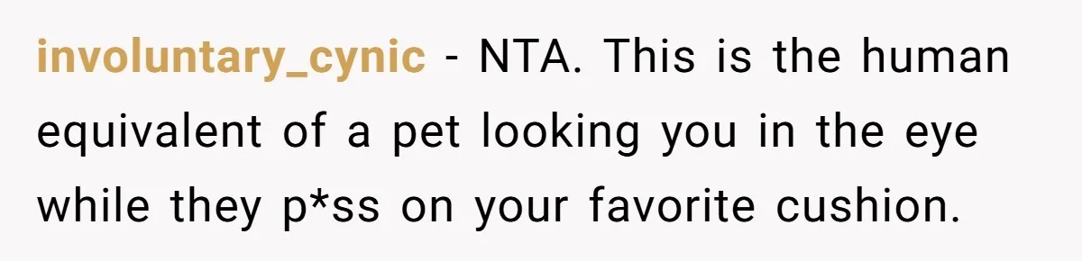involuntary_cynic − NTA. This is the human equivalent of a pet looking you in the eye while they p*ss on your favorite cushion.