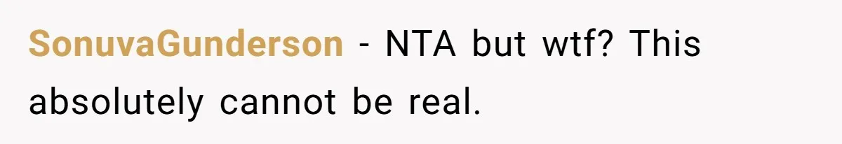 SonuvaGunderson − NTA but wtf? This absolutely cannot be real.