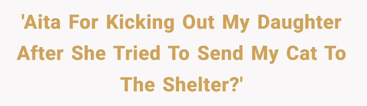 'AITA for kicking out my daughter after she tried to send my cat to the shelter?'