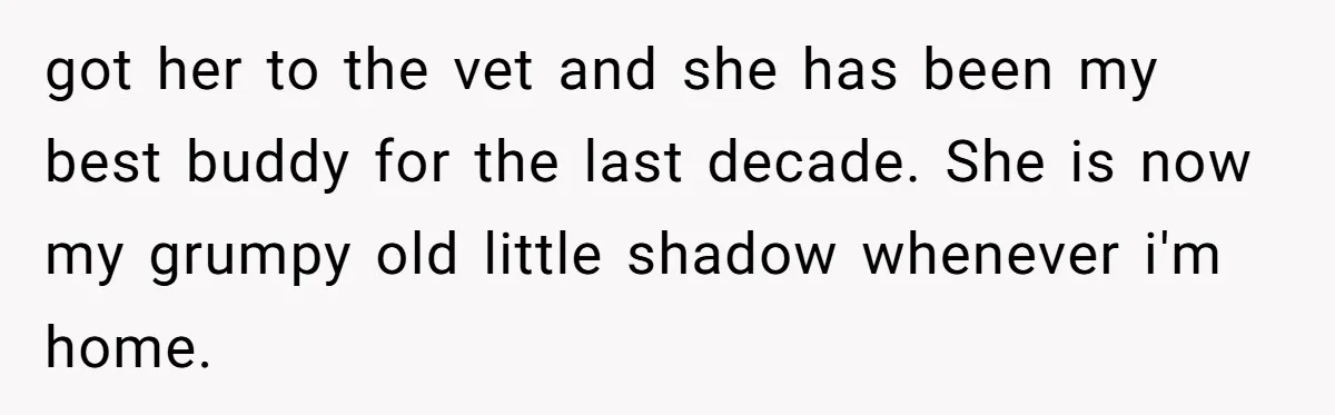 got her to the vet and she has been my best buddy for the last decade. She is now my grumpy old little shadow whenever i'm home.