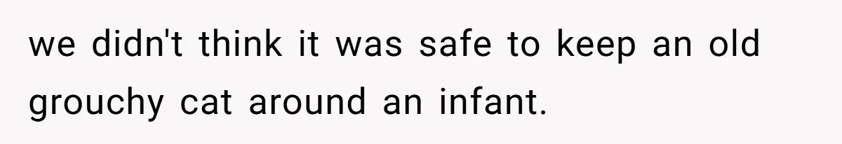 we didn't think it was safe to keep an old grouchy cat around an infant.