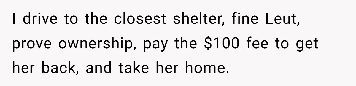 I drive to the closest shelter, fine Leut, prove ownership, pay the $100 fee to get her back, and take her home.