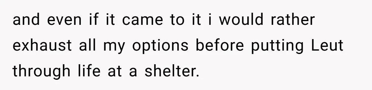 and even if it came to it i would rather exhaust all my options before putting Leut through life at a shelter.