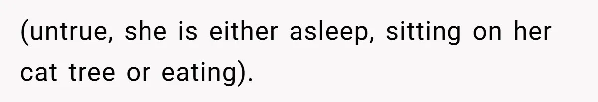 (untrue, she is either asleep, sitting on her cat tree or eating).