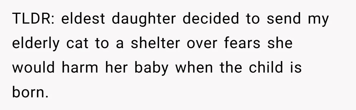 TLDR: eldest daughter decided to send my elderly cat to a shelter over fears she would harm her baby when the child is born.