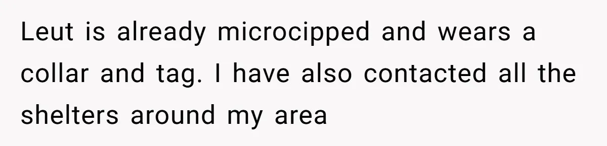 Leut is already microcipped and wears a collar and tag. I have also contacted all the shelters around my area