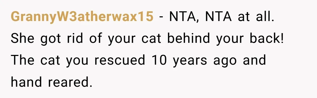 GrannyW3atherwax15 − NTA, NTA at all. She got rid of your cat behind your back! The cat you rescued 10 years ago and hand reared.