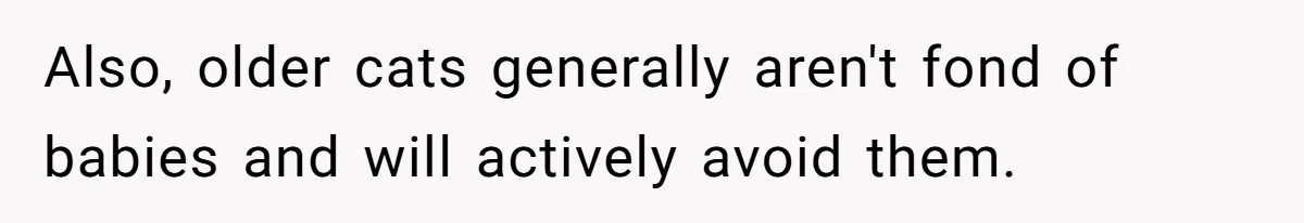 Also, older cats generally aren't fond of babies and will actively avoid them.