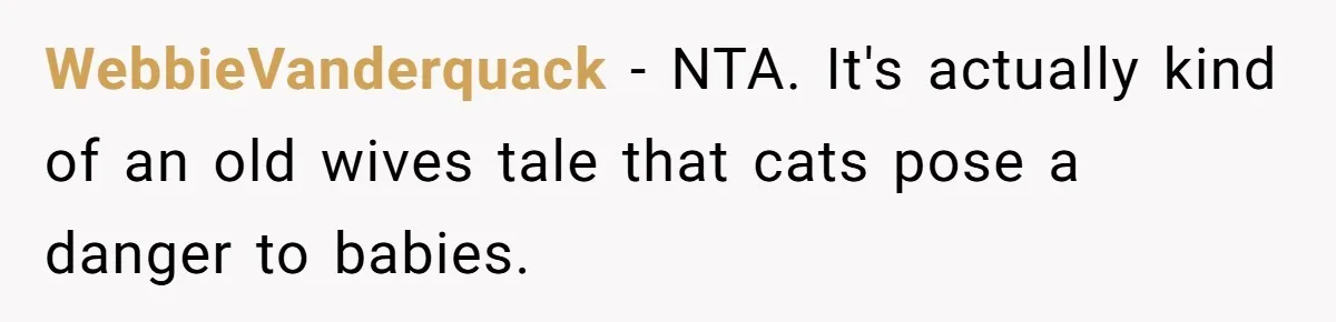 WebbieVanderquack − NTA. It's actually kind of an old wives tale that cats pose a danger to babies.