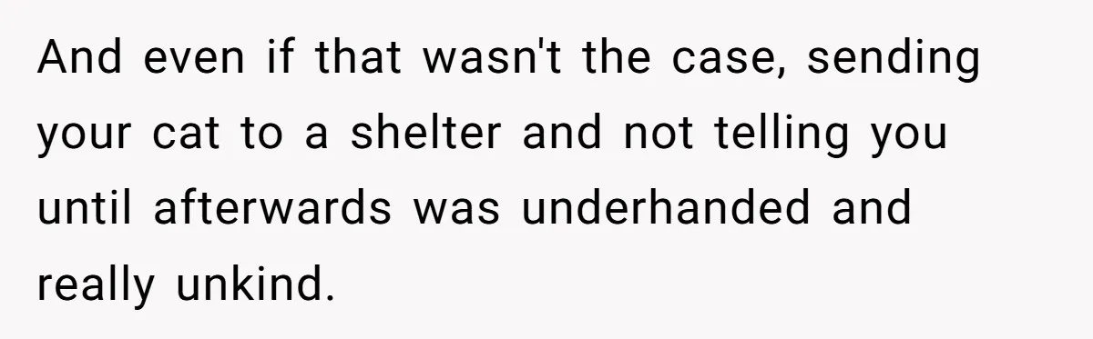 And even if that wasn't the case, sending your cat to a shelter and not telling you until afterwards was underhanded and really unkind.