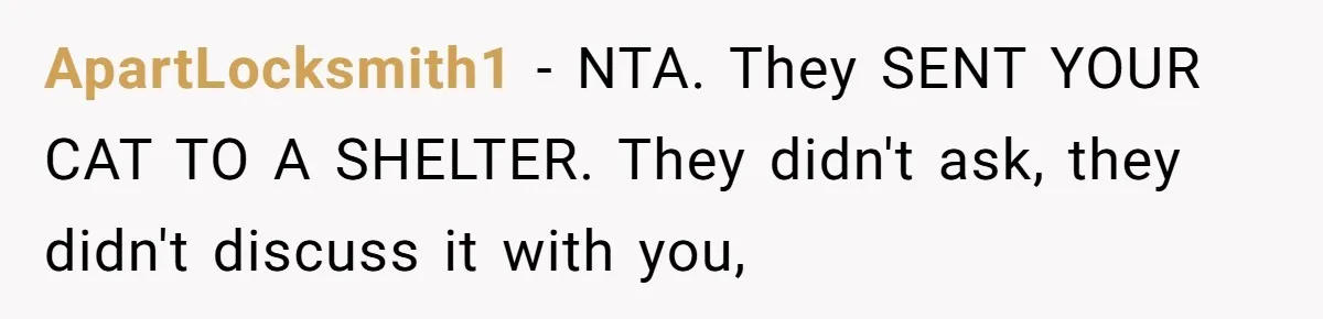 ApartLocksmith1 − NTA. They SENT YOUR CAT TO A SHELTER. They didn't ask, they didn't discuss it with you,