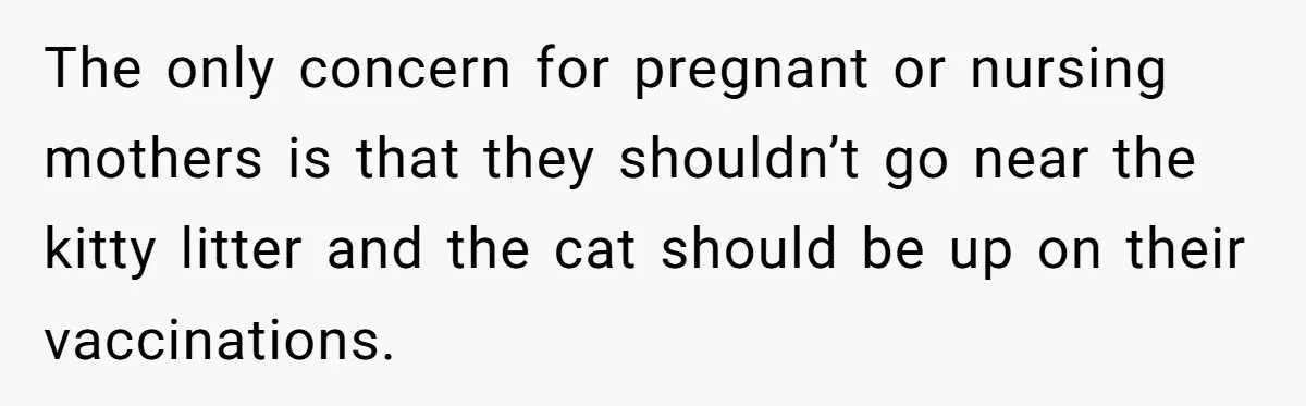 The only concern for pregnant or nursing mothers is that they shouldn’t go near the kitty litter and the cat should be up on their vaccinations.