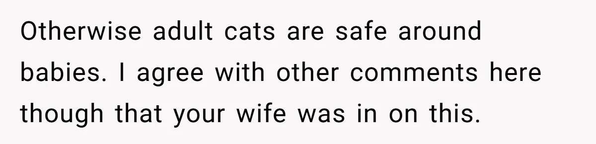 Otherwise adult cats are safe around babies. I agree with other comments here though that your wife was in on this.