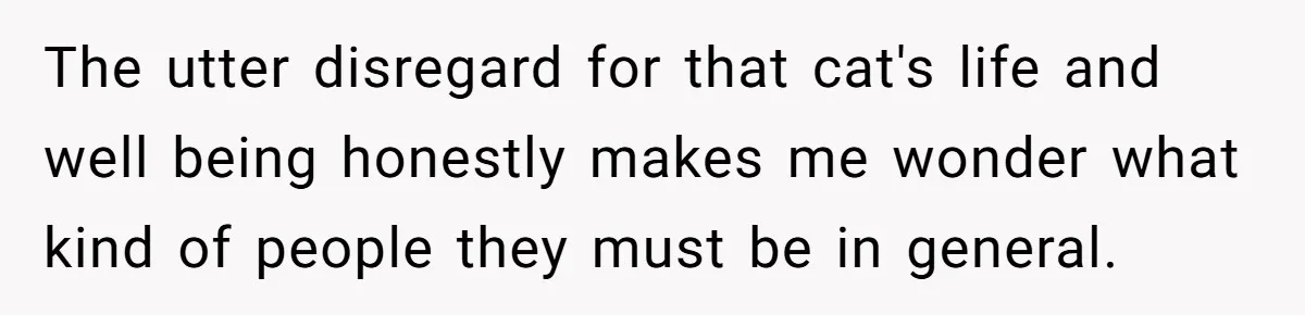The utter disregard for that cat's life and well being honestly makes me wonder what kind of people they must be in general.
