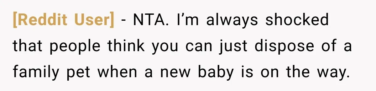 [Reddit User] − NTA. I’m always shocked that people think you can just dispose of a family pet when a new baby is on the way.