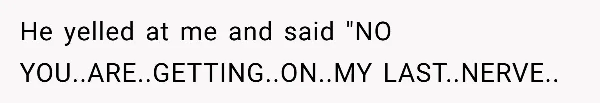 He yelled at me and said "NO YOU..ARE..GETTING..ON..MY LAST..NERVE..