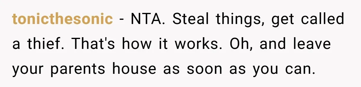 tonicthesonic − NTA. Steal things, get called a thief. That's how it works. Oh, and leave your parents house as soon as you can.