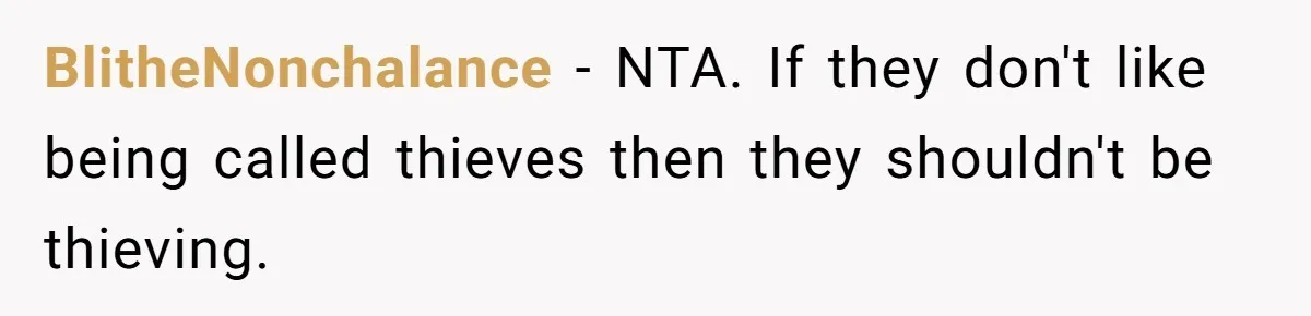 BlitheNonchalance − NTA. If they don't like being called thieves then they shouldn't be thieving.