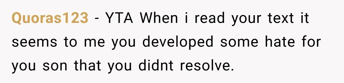 Quoras123 − YTA When i read your text it seems to me you developed some hate for you son that you didnt resolve.