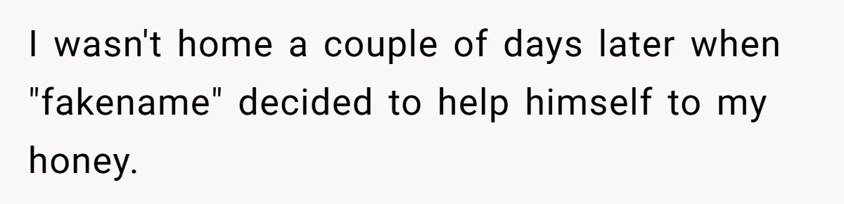 I wasn't home a couple of days later when "fakename" decided to help himself to my honey.