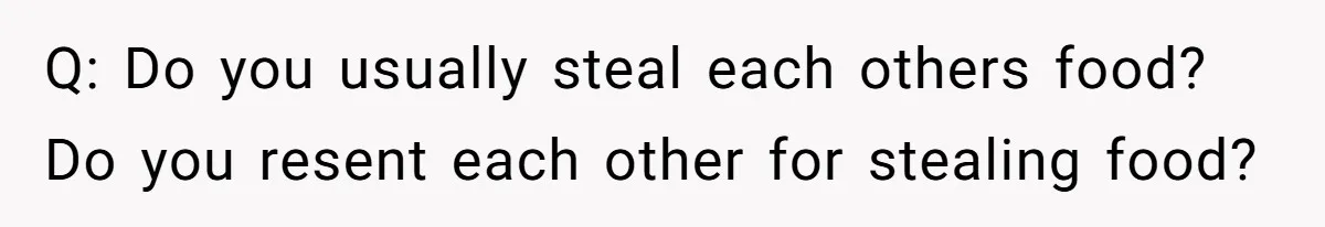 Q: Do you usually steal each others food? Do you resent each other for stealing food?
