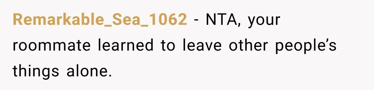 Remarkable_Sea_1062 − NTA, your roommate learned to leave other people’s things alone.