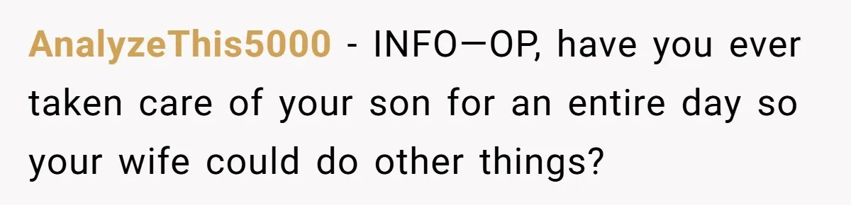 AnalyzeThis5000 − INFO—OP, have you ever taken care of your son for an entire day so your wife could do other things?