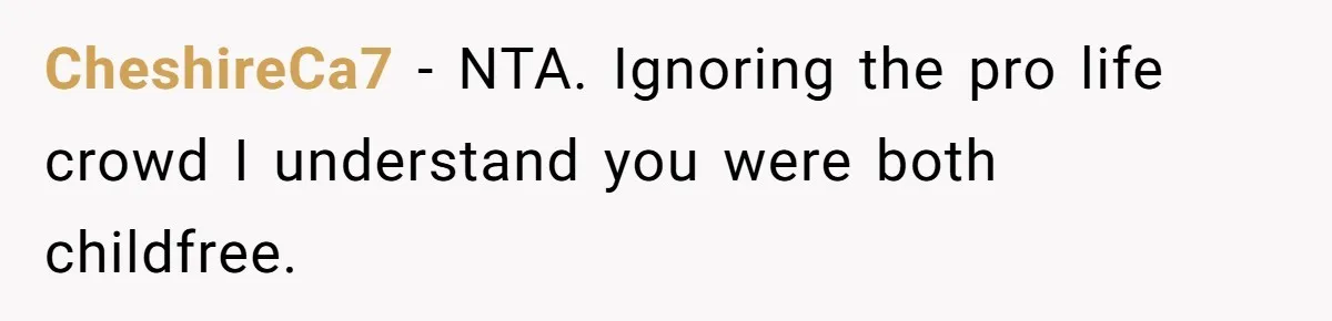 CheshireCa7 − NTA. Ignoring the pro life crowd I understand you were both childfree.