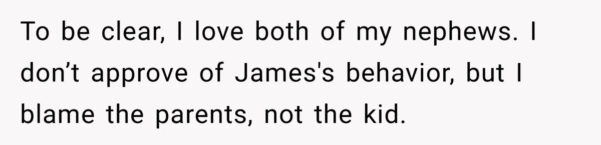 To be clear, I love both of my nephews. I don’t approve of James's behavior, but I blame the parents, not the kid.