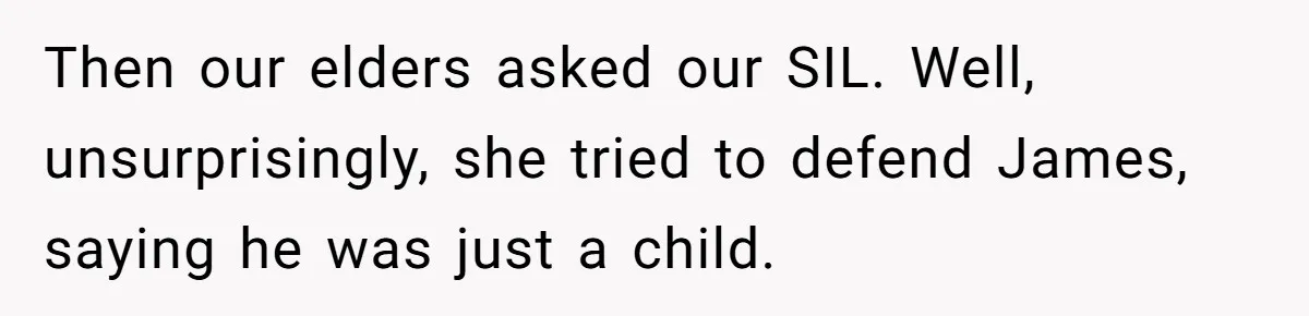 Then our elders asked our SIL. Well, unsurprisingly, she tried to defend James, saying he was just a child.
