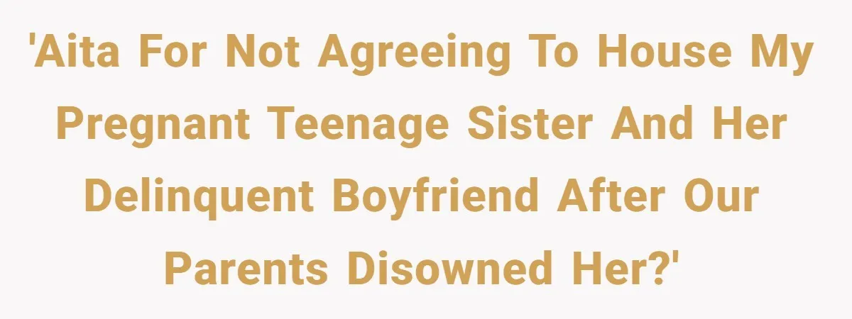 'AITA for not agreeing to house my pregnant teenage sister and her delinquent boyfriend after our parents disowned her?'