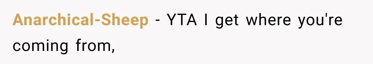 Anarchical-Sheep − YTA I get where you're coming from,