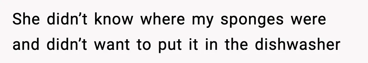 She didn’t know where my sponges were and didn’t want to put it in the dishwasher