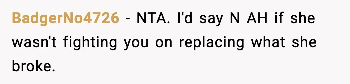 BadgerNo4726 − NTA. I'd say N AH if she wasn't fighting you on replacing what she broke.
