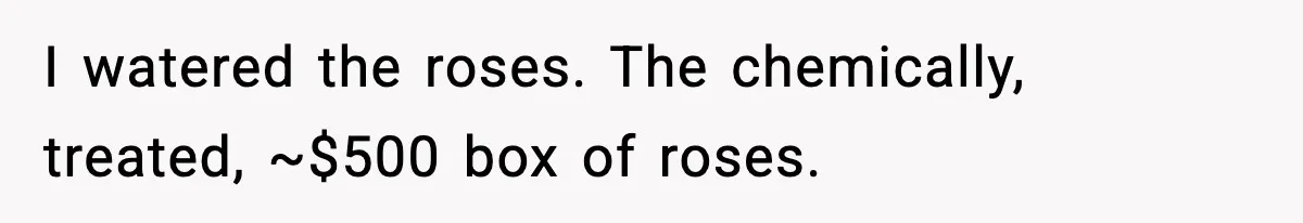I watered the roses. The chemically, treated, ~$500 box of roses.