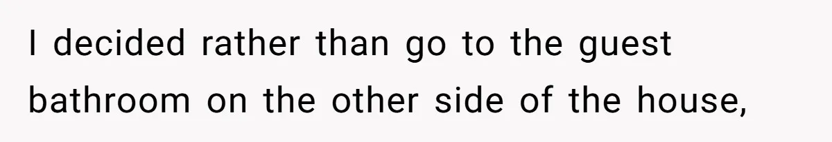 I decided rather than go to the guest bathroom on the other side of the house,