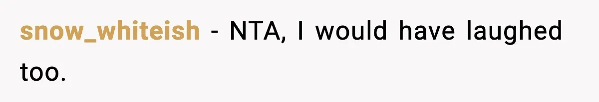 snow_whiteish − NTA, I would have laughed too.