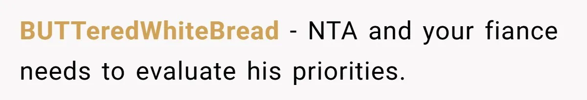 BUTTeredWhiteBread − NTA and your fiance needs to evaluate his priorities.