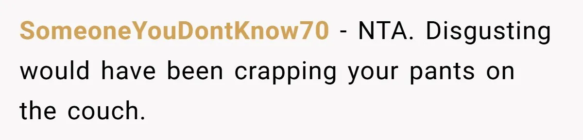 SomeoneYouDontKnow70 − NTA. Disgusting would have been crapping your pants on the couch.