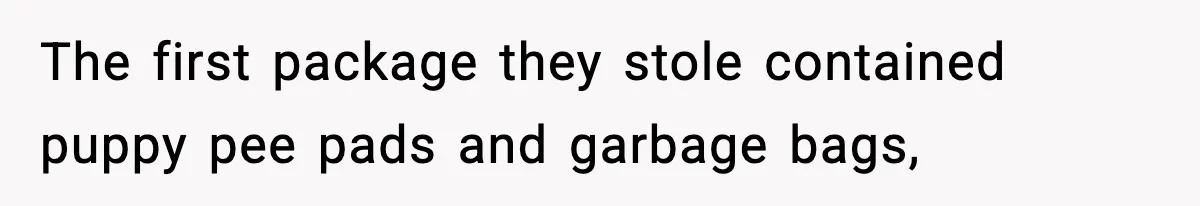 The first package they stole contained puppy pee pads and garbage bags,