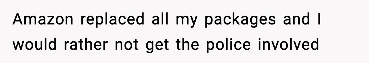 Amazon replaced all my packages and I would rather not get the police involved