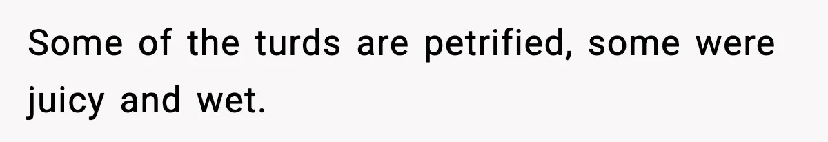Some of the turds are petrified, some were juicy and wet.
