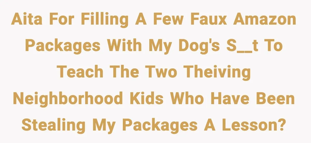AITA for filling a few faux Amazon packages with my dog's s__t to teach the two theiving neighborhood kids who have been stealing my packages a lesson?